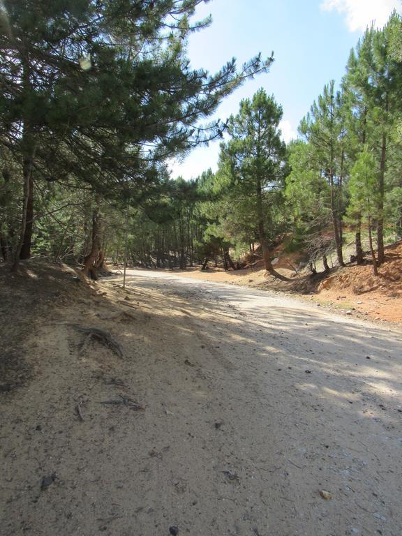 Résidence De La Sidoine Du Mont-ventoux Crillon-le-Brave