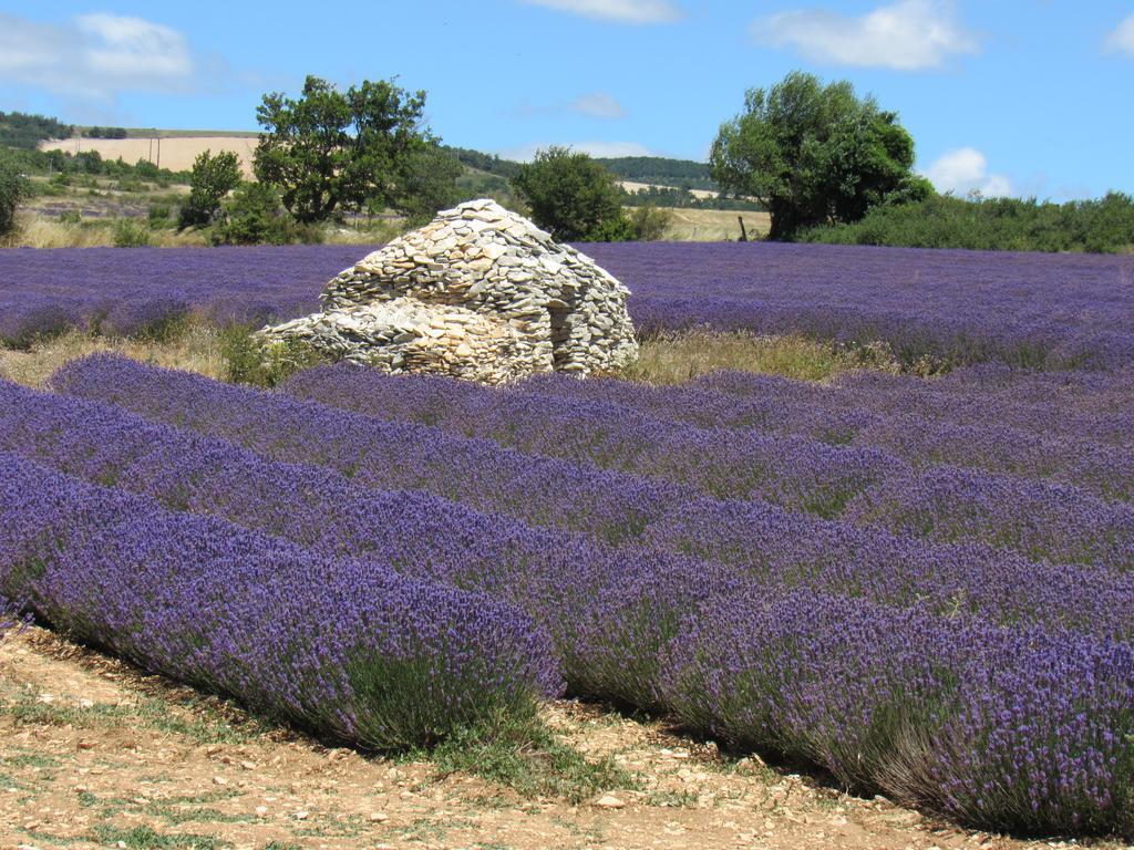 Résidence De La Sidoine Du Mont-ventoux Appartement Crillon-le-Brave